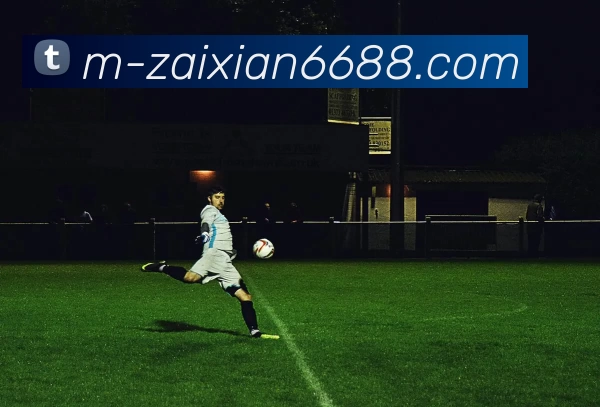 在线6688APP 封面图